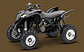 Show the detailed information for this 2008 HONDA TRX700XX8.