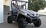 Show the detailed information for this 2008 KAWASAKI TERYX.