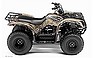 Show the detailed information for this 2008 YAMAHA Grizzly 125.