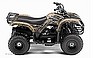 Show the detailed information for this 2008 YAMAHA Grizzly 80.