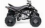 Show the detailed information for this 2008 YAMAHA Raptor 250 SE.