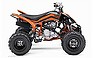 Show the detailed information for this 2008 YAMAHA Raptor 250 SE.