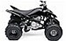 2008 YAMAHA Raptor 250 SE Custom.