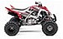 Show the detailed information for this 2008 YAMAHA Raptor 700R SE.