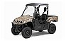Show the detailed information for this 2008 YAMAHA Rhino 700 FI Auto. 4x4 Du.