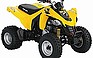 Show the detailed information for this 2009 CAN-AM DS 250.