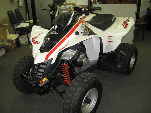 2009 CAN-AM DS250 Kittanning PA 16201 Photo #0053406B