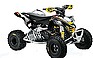 Show the detailed information for this 2009 CAN-AM DS 450 EFI X xc.