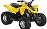 2009 CAN-AM DS 90.