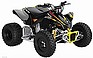 2009 CAN-AM DS 90 X.