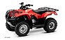 Show more photos and info of this 2009 HONDA FourTrax Recon (TRX250TM).