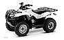 Show the detailed information for this 2009 HONDA FourTrax Recon (TRX250TM).