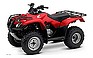 Show the detailed information for this 2009 HONDA FourTrax Recon ES (TRX250.