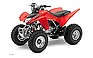 Show more photos and info of this 2009 HONDA TRX250X.