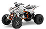 Show the detailed information for this 2009 HONDA TRX450ER9.