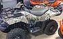 Show the detailed information for this 2009 KAWASAKI Brute Force 750 4x4i Camo.