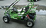 Show the detailed information for this 2009 TJ POWER SPORTS 80T.