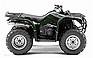 Show the detailed information for this 2009 YAMAHA Grizzly 350 Auto. 4x4.