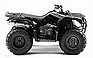 2009 YAMAHA Grizzly 350 Automatic.