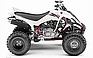 2009 YAMAHA Raptor 350.