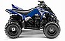 Show the detailed information for this 2009 YAMAHA Raptor 90.