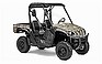 Show the detailed information for this 2009 YAMAHA Rhino 700 FI Auto. 4x4 Du.