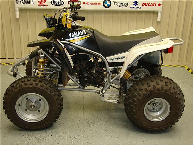 2002 YAMAHA YFS200 Munford AL 36268 Photo #0054355A