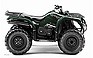 Show the detailed information for this 2010 YAMAHA Grizzly 350 Auto. 4x4 IRS.