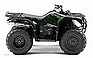 Show the detailed information for this 2010 YAMAHA Grizzly 350 Automatic.