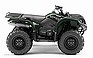 Show the detailed information for this 2010 YAMAHA Grizzly 450 Auto. 4x4 IRS.