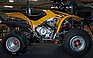 Show the detailed information for this 2002 Honda Sportrax 300EX.