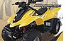 Show the detailed information for this 2004 DINLI BEAST YOUTH ATV 90 CC.