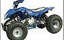 Show the detailed information for this 2005 POCKET BIKE ATV 250SP.