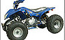 2005 POCKET BIKE ATV 250SP.