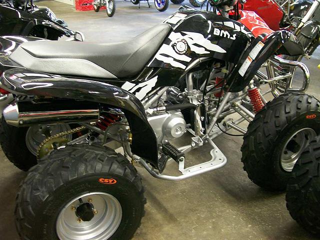 2007 BMS 110cc Sport Martinez CA 94553 Photo #0054510A