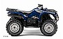 Show the detailed information for this 2007 Yamaha Grizzly 350 IRS Auto. 4x4.