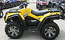 Show the detailed information for this 2008 CAN-AM 650 XT.