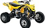 Show the detailed information for this 2008 Can-Am DS 450.