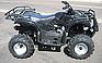 Show the detailed information for this 2008 HENSIM 110 CC.