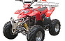 Show more photos and info of this 2008 JCL 110CC.