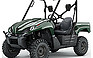 Show the detailed information for this 2008 Kawasaki Teryx 750 4x4.