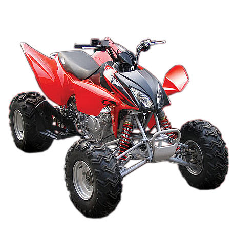 2008 MOTOBRAVO ATV-300cc XY Sports Mesa AZ 85202 Photo #0054733A