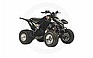Show the detailed information for this 2008 KYMCO Mongoose 250.