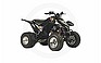 2008 KYMCO Mongoose 250.