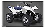 Show more photos and info of this 2008 Suzuki QuadSport Z90.