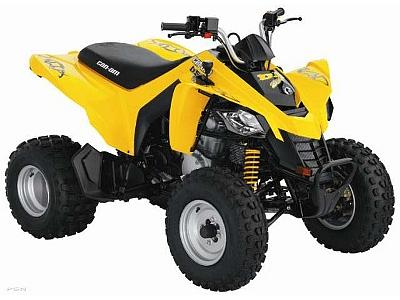 2009 Can-Am DS 250 Kalamazoo MI 49009 Photo #0054836A