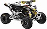 Show the detailed information for this 2009 CAN-AM 450 EFI DS.