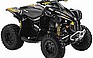 Show the detailed information for this 2009 CAN-AM Renegade 800R EFI X.