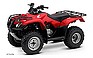 Show the detailed information for this 2009 Honda FourTrax Recon ES (TRX250.