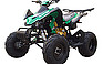 Show more photos and info of this 2009 OTHER 250cc-V4SW FREE SHIPPING.